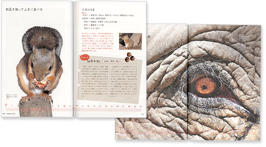 原寸どうぶつ図鑑