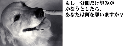 もし１分間だけ望みがかなうとしたら、あなたは何を願いますか？