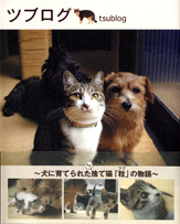 ツブログ