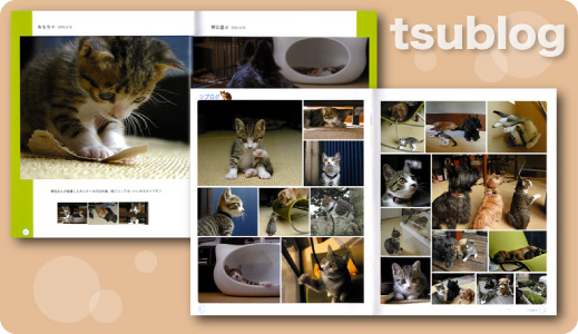 ツブログ