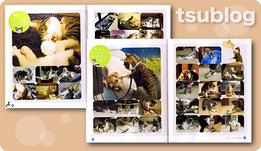 ツブログ　～まぁるい小悪魔編～