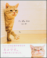 ぐぅぱぁネコ　ミーヤ