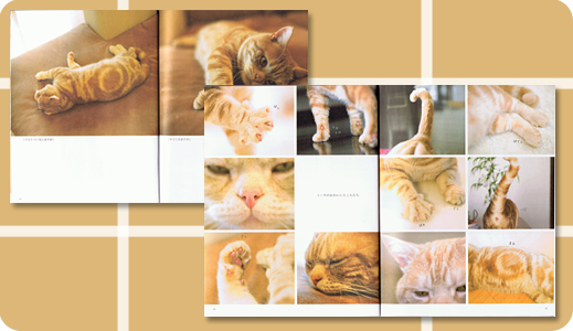 ぐぅぱぁネコ　ミーヤ