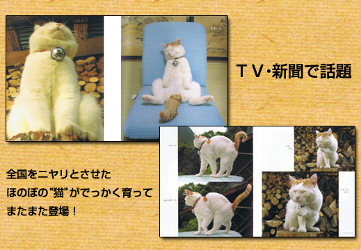 これでいいのだ　～かご猫ほっこり写真集～