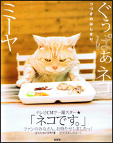 ぐぅぱぁネコ　ミーヤ　つづきのはじまり。