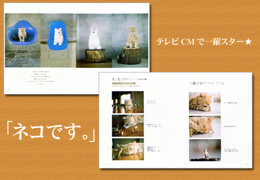 ぐぅぱぁネコ　ミーヤ　つづきのはじまり。