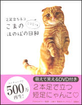 2足立ちネコ こまのほのぼの日和 DVDつき