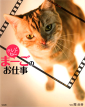 テレビねこ　まーごのお仕事
