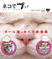 ネコでプッ！　面白ネコ画像集