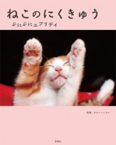 ねこのにくきゅう