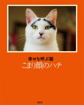 幸せを呼ぶ猫　こまり顔のハチ