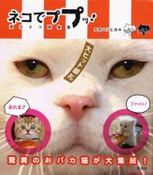 ネコでププッ！　面白ネコ画像集