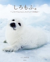 しろもふ。