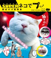 SUPER ネコでプッ！ 面白ネコ画像集