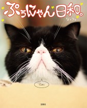 ぷぅにゃん日和。