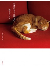 おばあちゃん猫との静かな日々