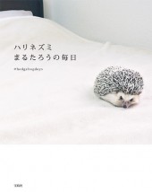 ハリネズミ まるたろうの毎日