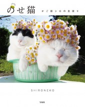 のせ猫　かご猫シロの里便り