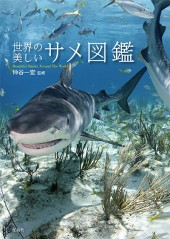 世界の美しいサメ図鑑