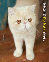 マッシュのぺちゃんこライフ