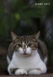 岩合光昭 猫手帳 2017