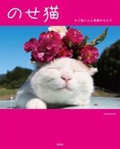 のせ猫 かご猫シロと季節のなかで