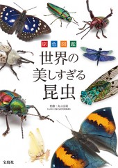 原色図鑑　世界の美しすぎる昆虫
