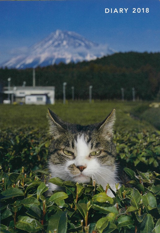 岩合光昭 猫手帳 2018