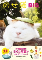 のせ猫 BIG