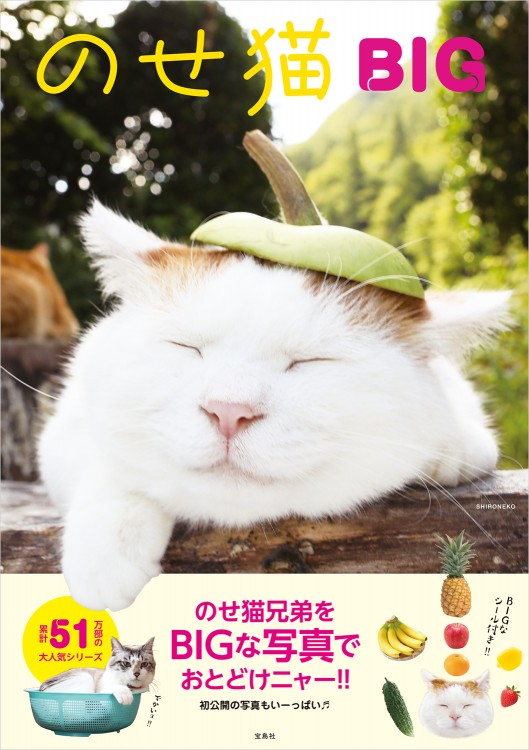 のせ猫 BIG