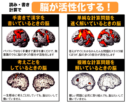 脳が活性化する!