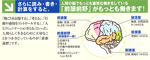 さらに読み・書き・計算をすると、「前頭前野」がもっとも働きます！