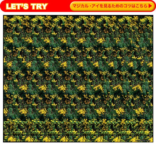 LET'S TRY マジカル・アイ（お試しマジカル・アイの画像）