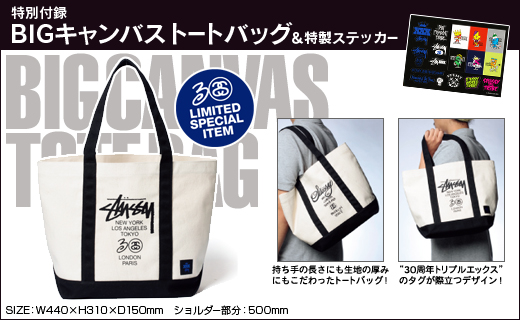 STUSSY 2010 SUMMER COLLECTION