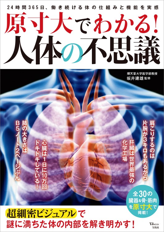 原寸大でわかる！ 人体の不思議