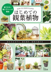 はじめての観葉植物