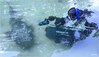 NHK取材班　アマゾンを撮る男たち