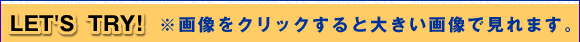 画像をクリックすると大きい画像で見れます。