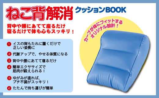 寝るだけ！ ねこ背解消クッションBOOK