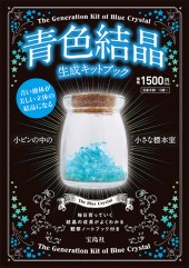 青色結晶生成キットブック