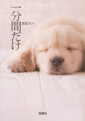 一分間だけ