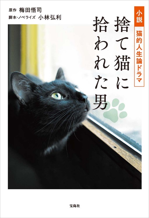 小説 猫的人生論ドラマ 捨て猫に拾われた男