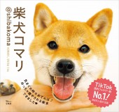 柴犬コマリ @shibakoma