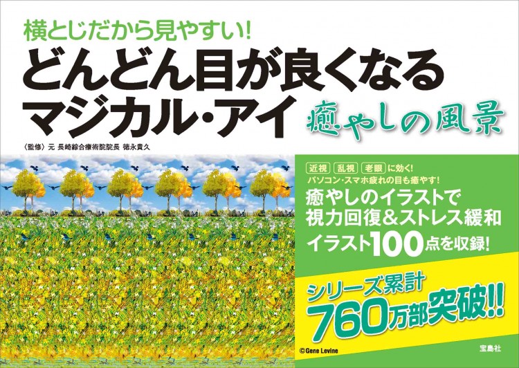 横とじだから見やすい！ どんどん目が良くなるマジカル・アイ 癒やしの風景