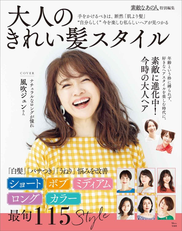 素敵なあの人特別編集 大人のきれい髪スタイル