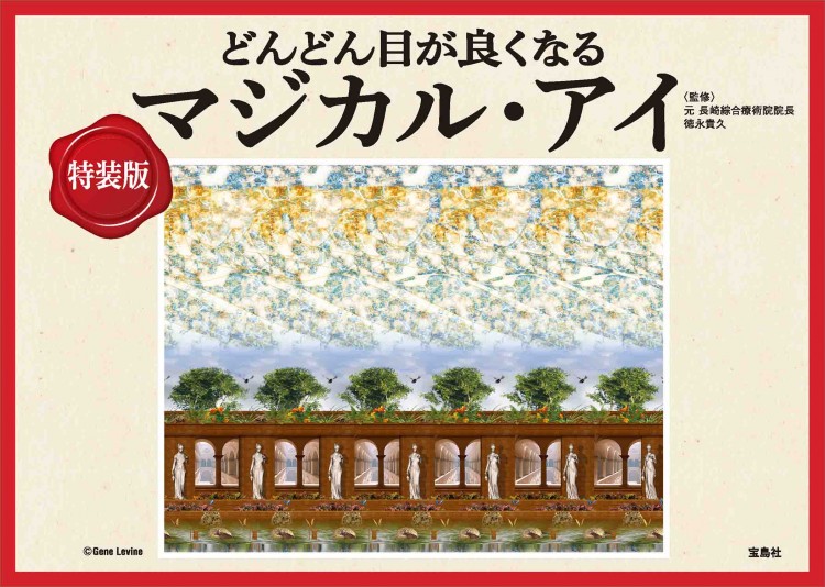 特装版 どんどん目が良くなるマジカル・アイ