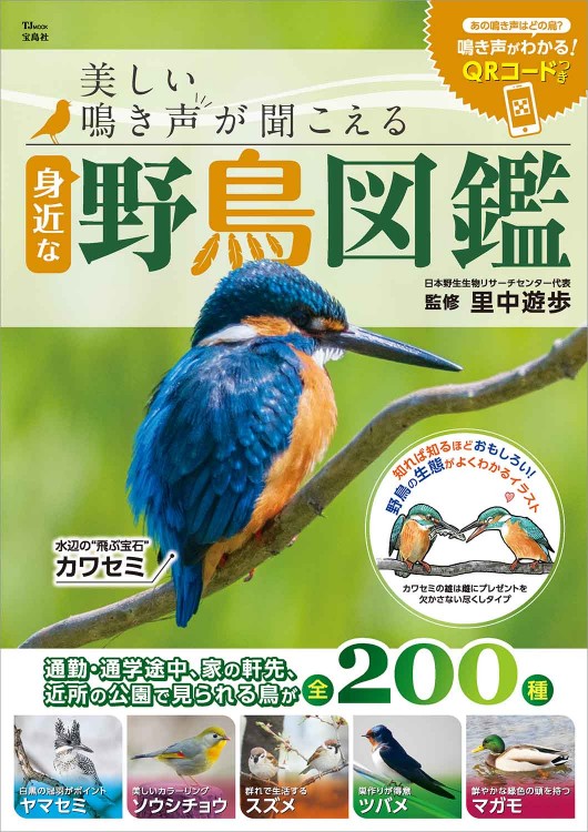 美しい鳴き声が聞こえる 身近な野鳥図鑑
