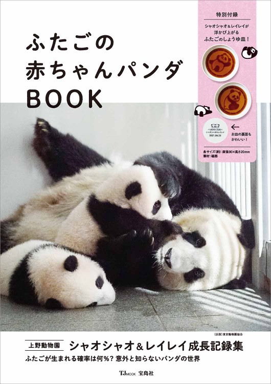 ふたごの赤ちゃんパンダBOOK