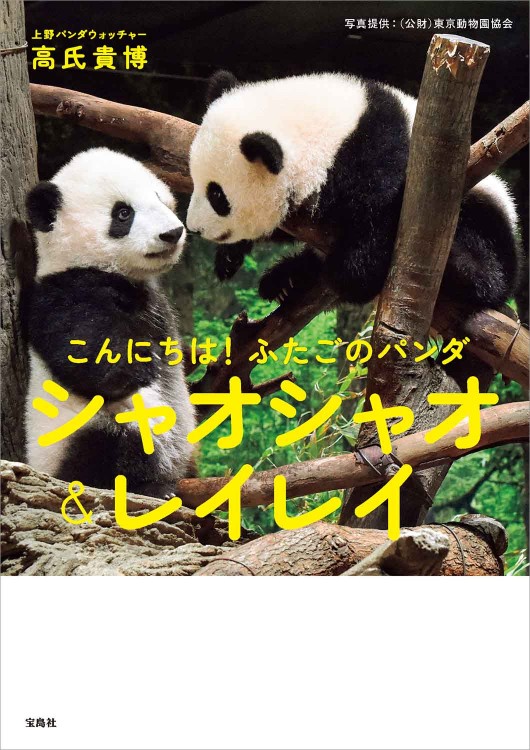 こんにちは！ ふたごのパンダ シャオシャオ＆レイレイ