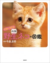 かわいすぎる小さな野生ネコの図鑑